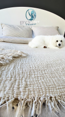 %100 PAMUKLU TEK KİŞİLİK MÜSLİN PİKE İVORY